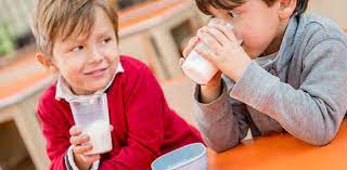 Важность молока и молочной продукции в питании школьников