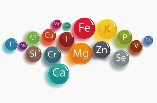 Профилактика дефицитов микроэлементов (цинк, медь, железо)