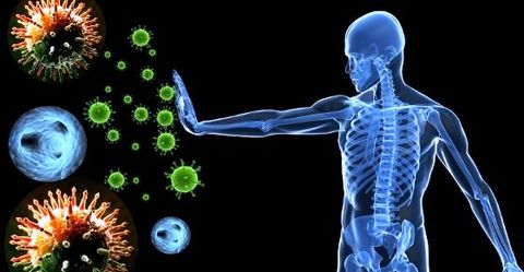 Формирование в организме специфического иммунитета: как оно происходит?