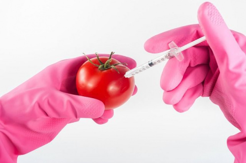 «Осторожно ГМО!»