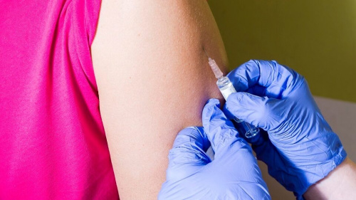 Особенности вакцинации против клещевого вирусного энцефалита